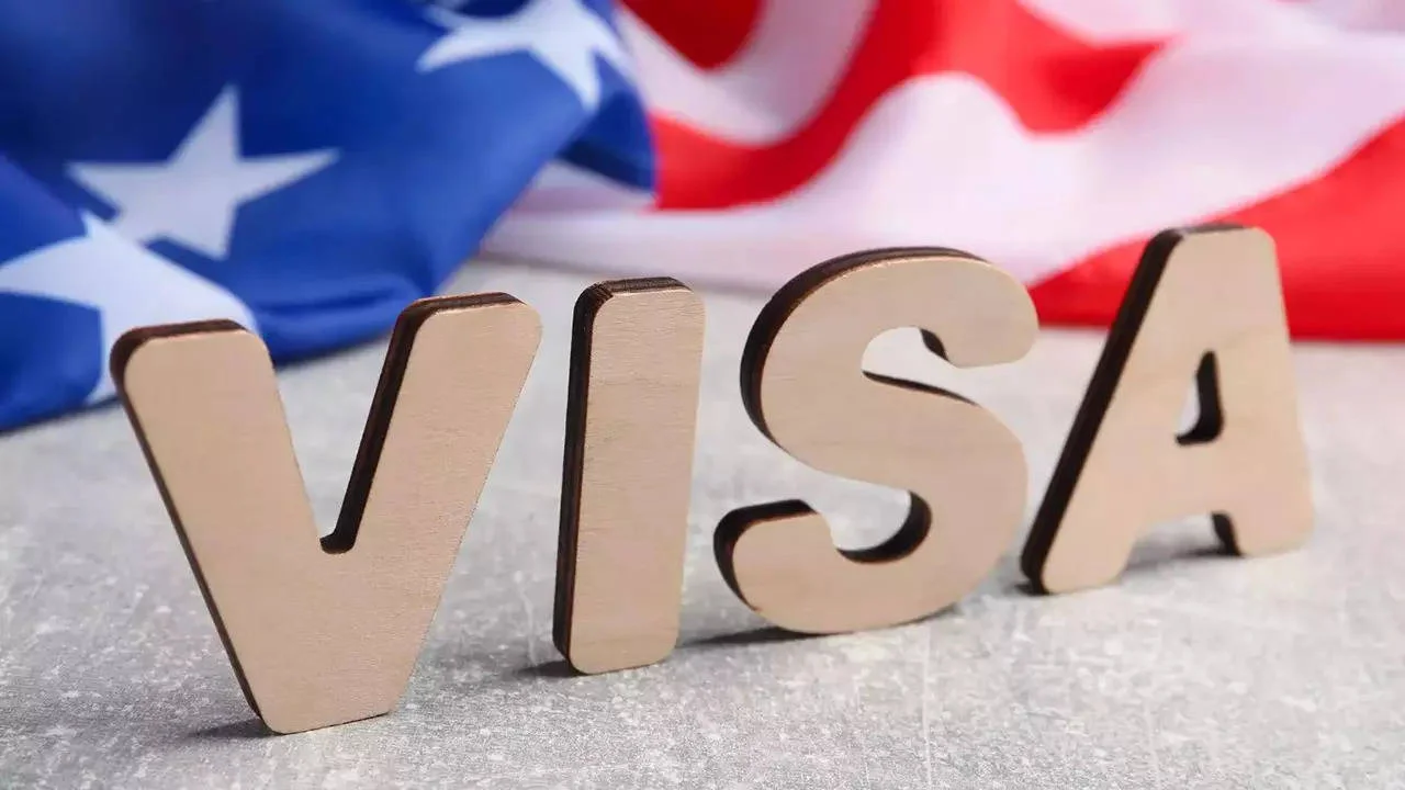 USA Visa Services